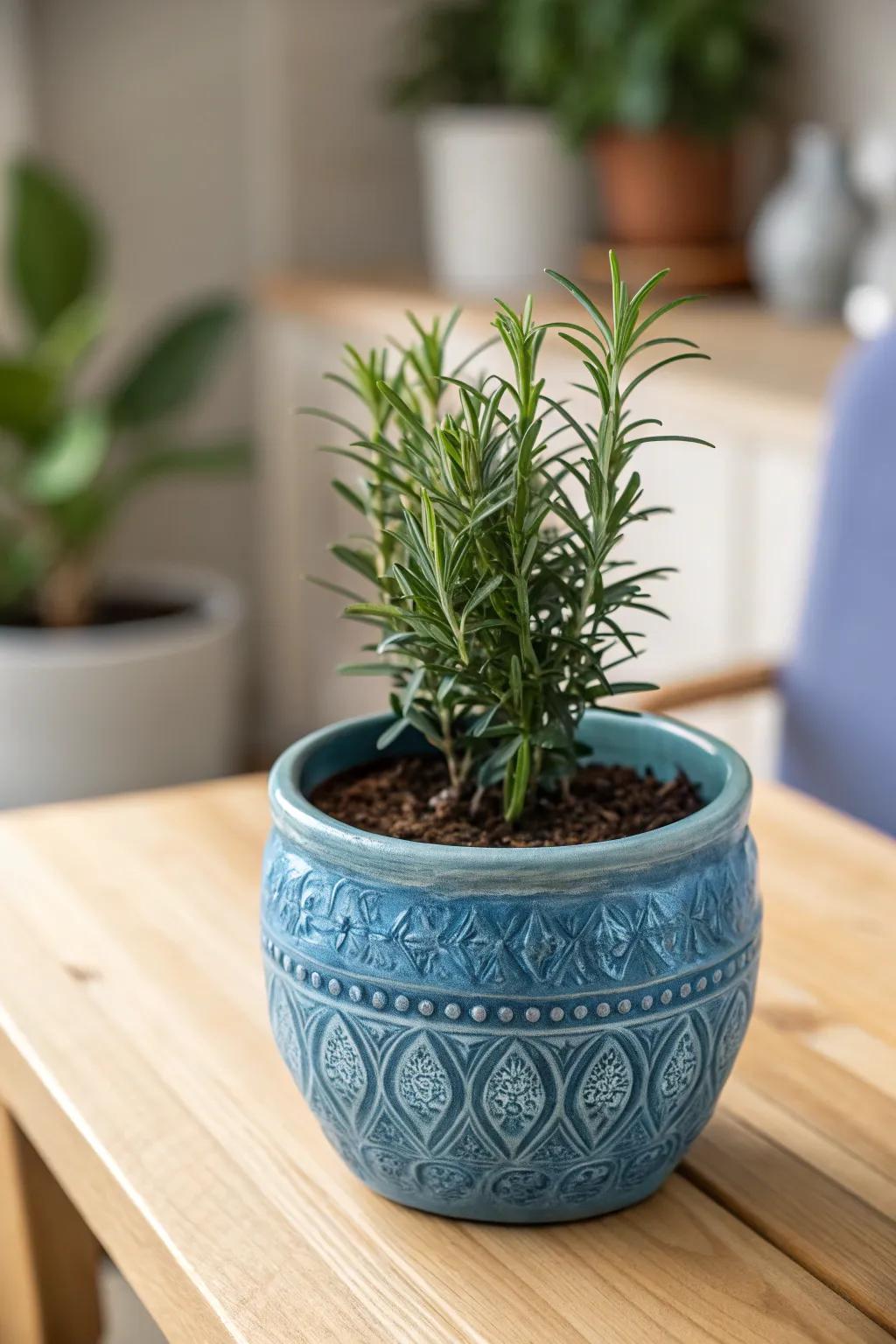 Enhance your indoor sanctuary using distinctive ceramic pots that meld Scandinavian spareness with bohemian enchantment.