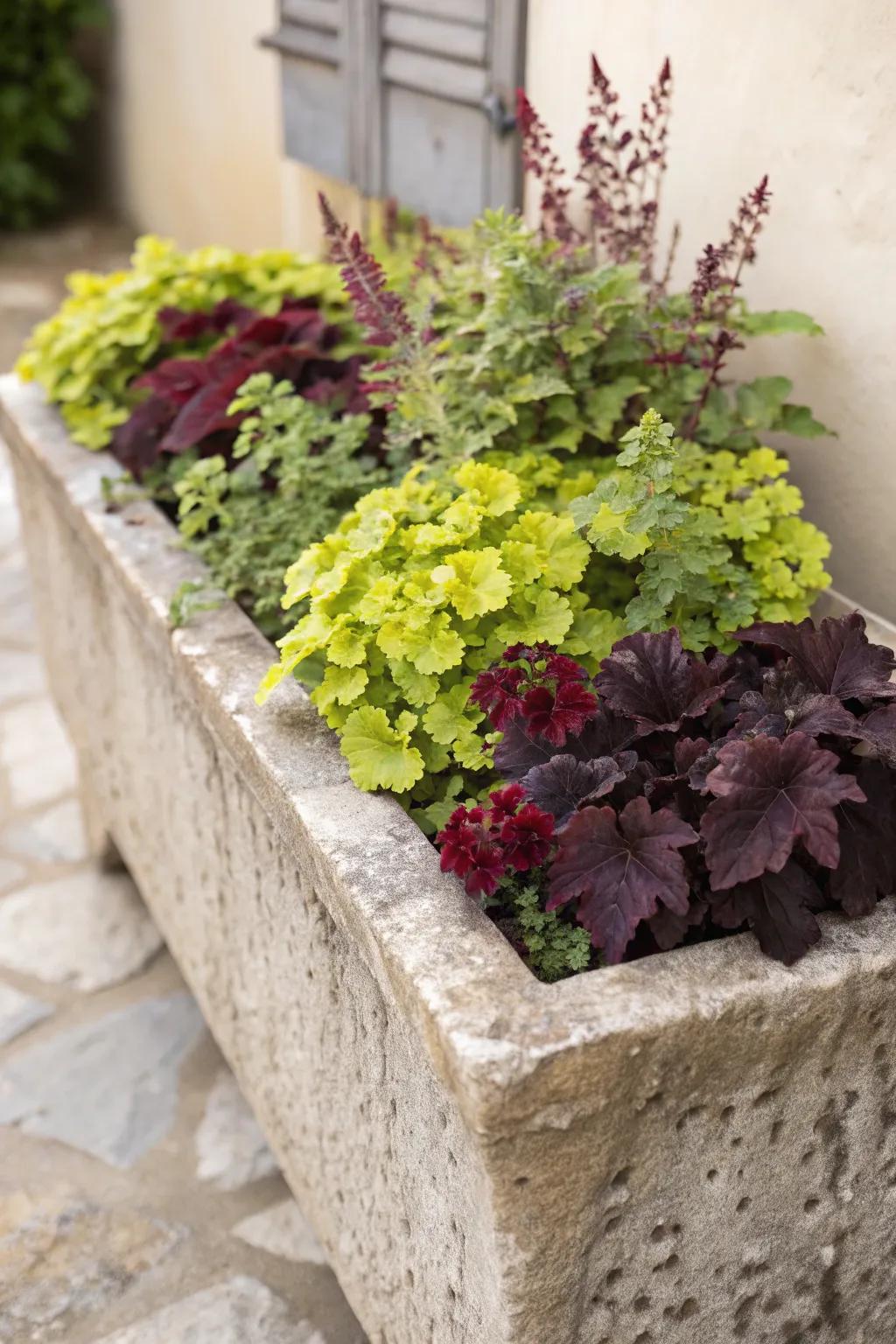 Capture the essence of traditional charm with a stone trough that beautifully showcases your heucheras.