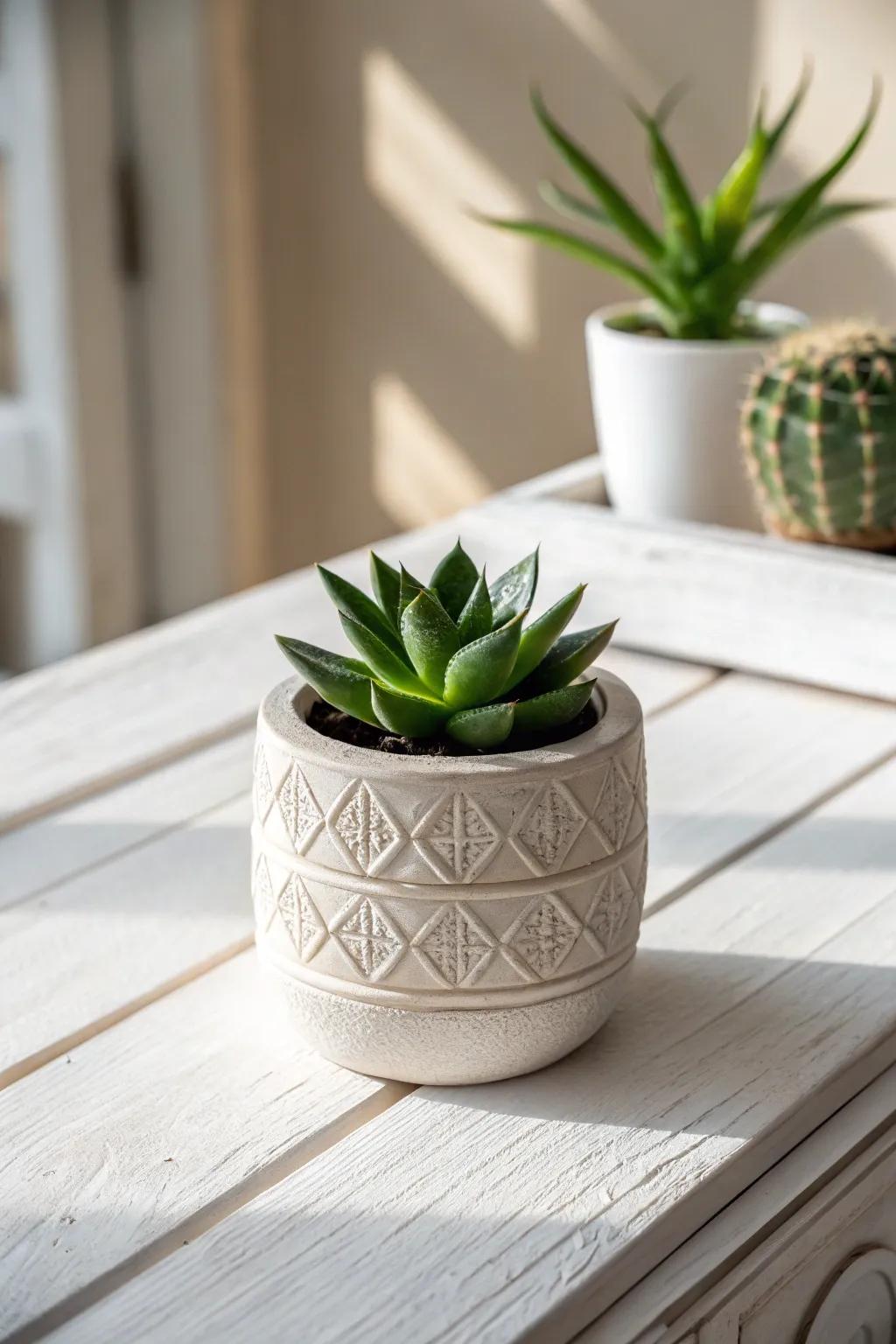 Subtle touch of the outdoors: Small plant arrangements introduce charm and simplicity to any scene.