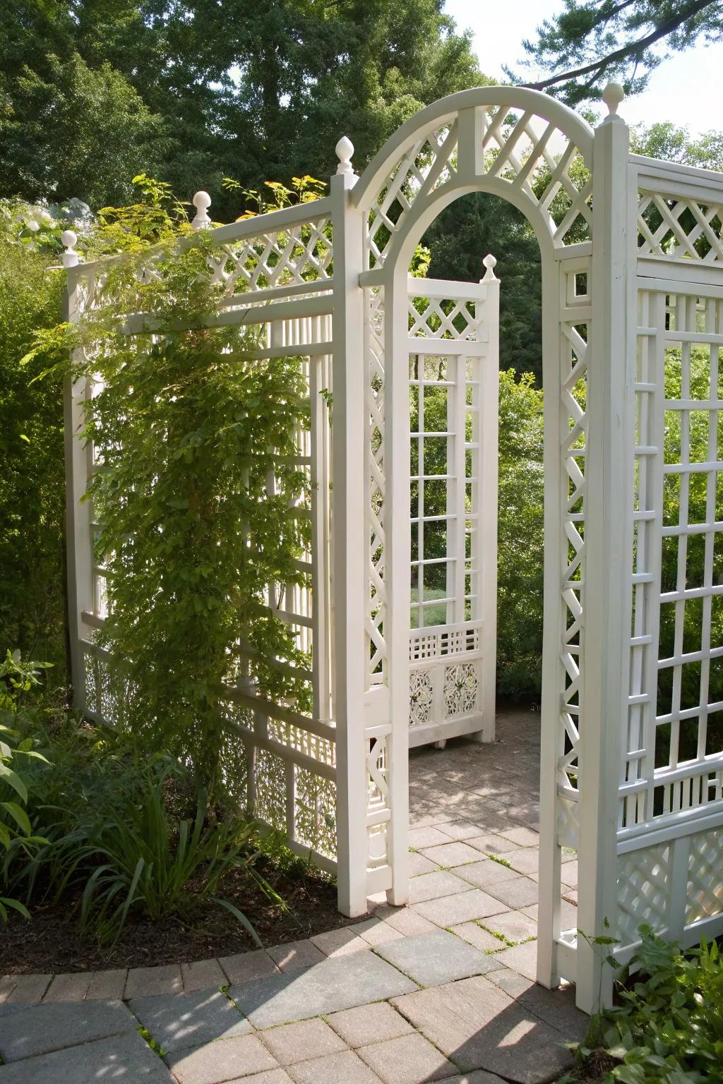 Elevate your garden’s charm with a timeless ivory trellis, blending seclusion with natural splendor.