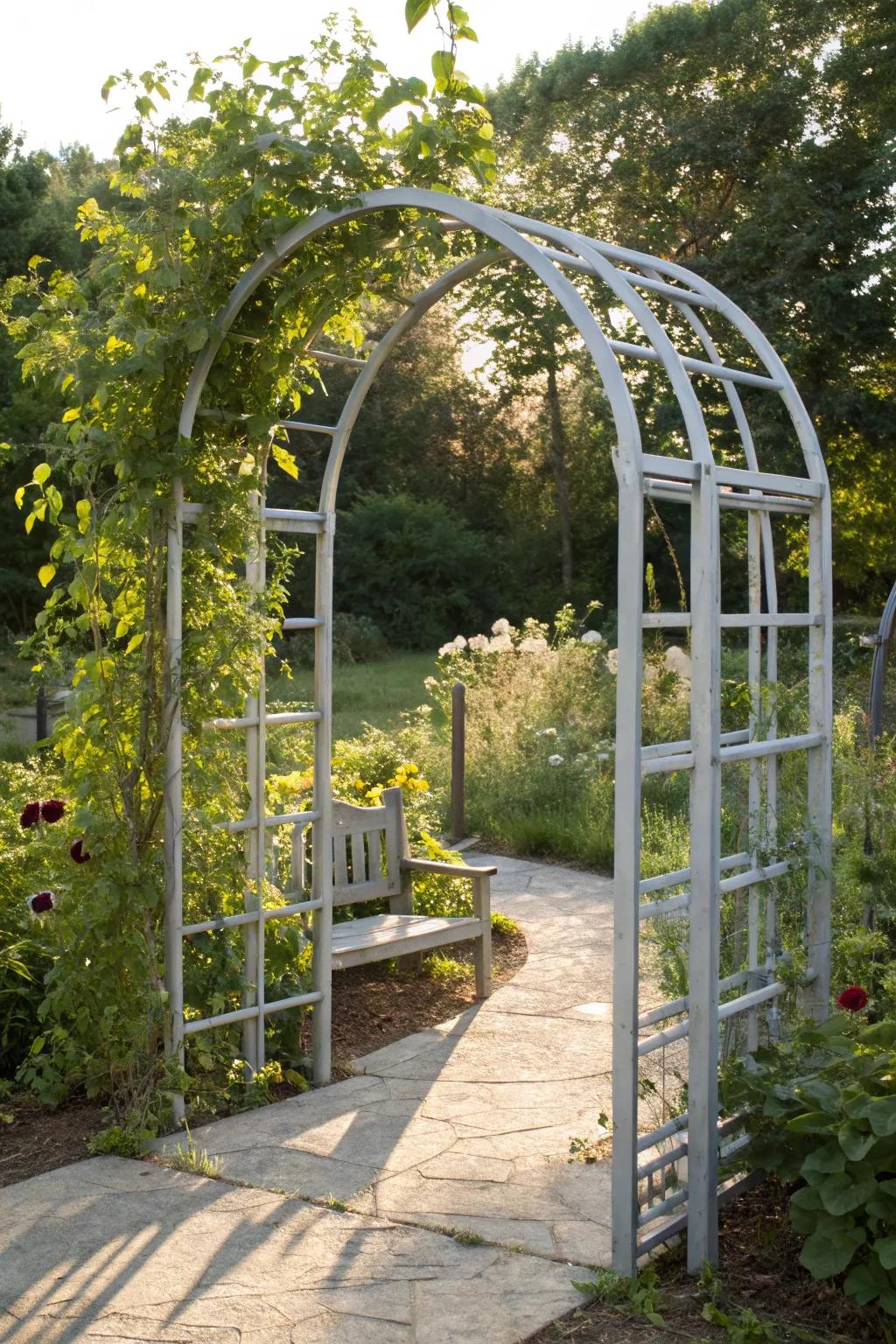 Step into a serene garden paradise with this minimalist animal pen archway, where tomatoes and nature intertwine in harmony.
