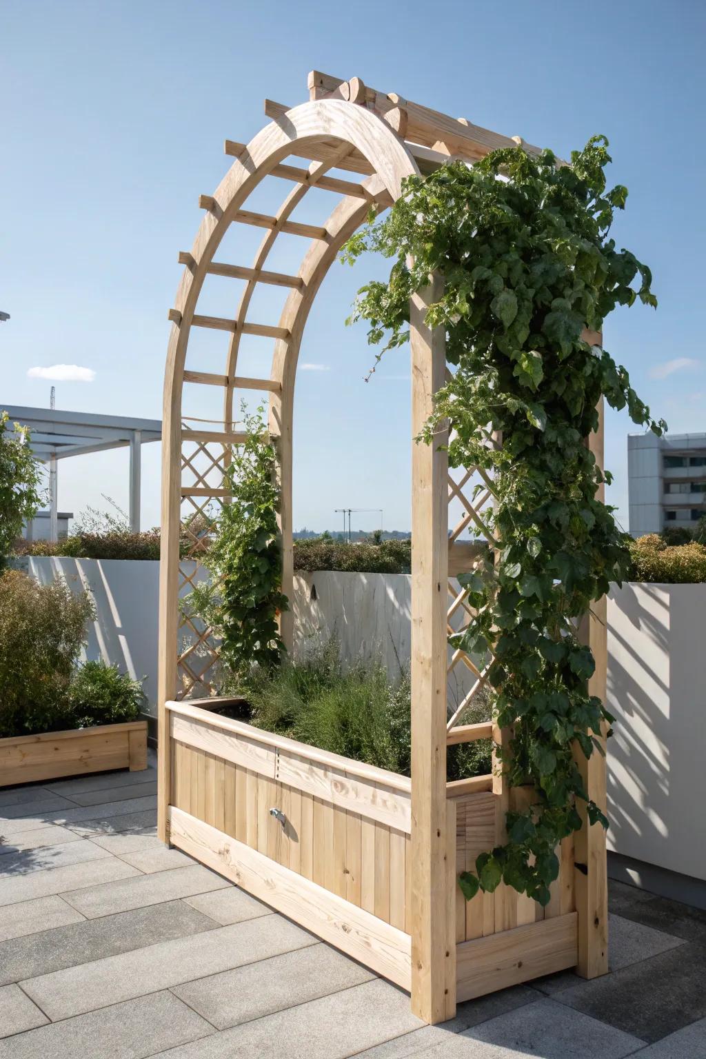 Elevate your garden's allure with an elegant arched framework, merging minimalist charm with bohemian vibes.