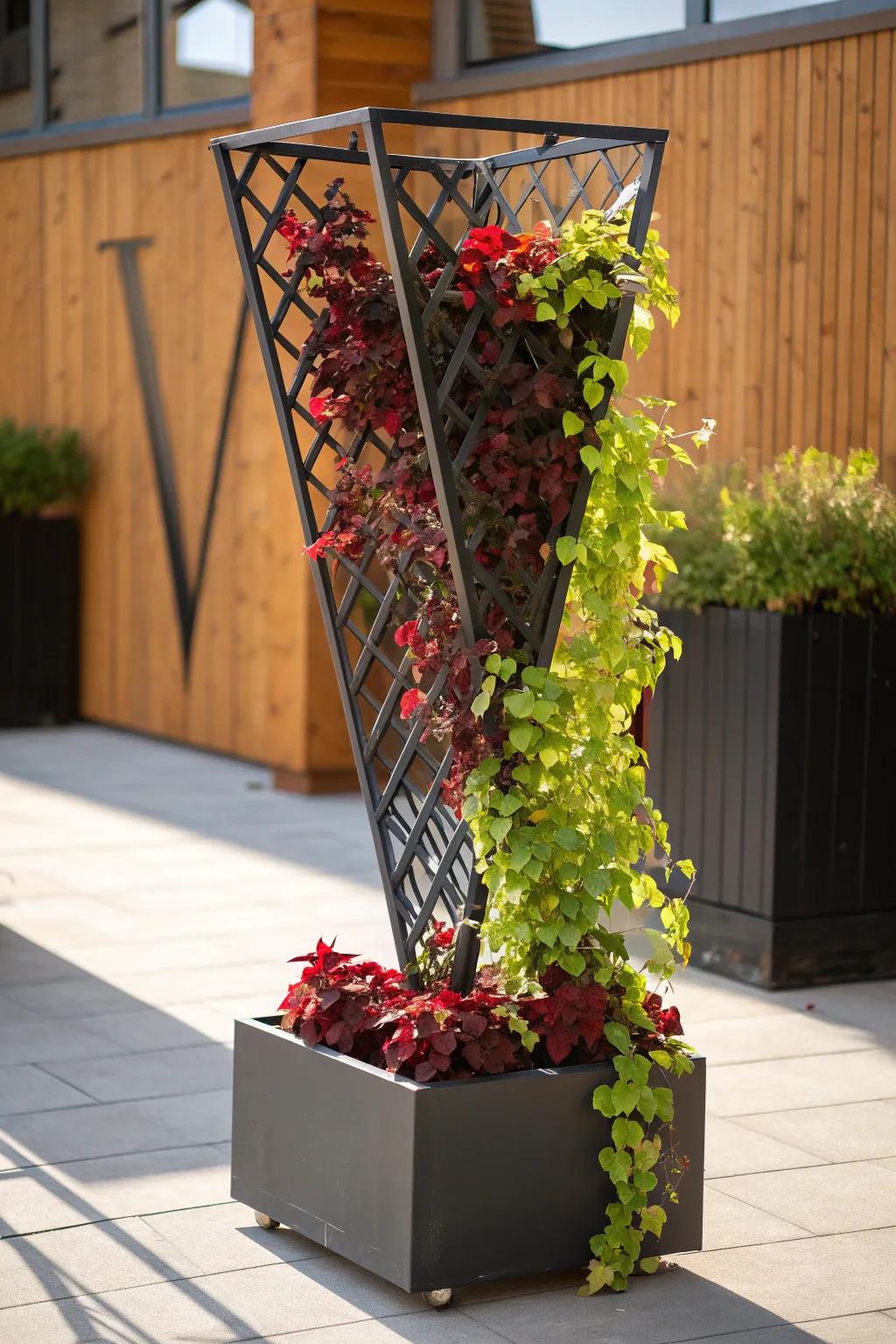 Elevate your patio with this stunning V-shaped trellis planter—where craftsmanship meets natural beauty.