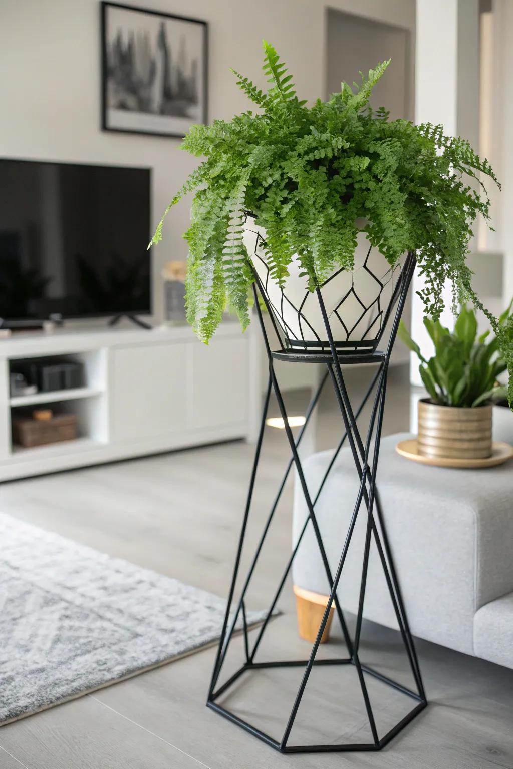 Elevate your area with this sleek and contemporary geometric flora platform, where style converges with greenery.
