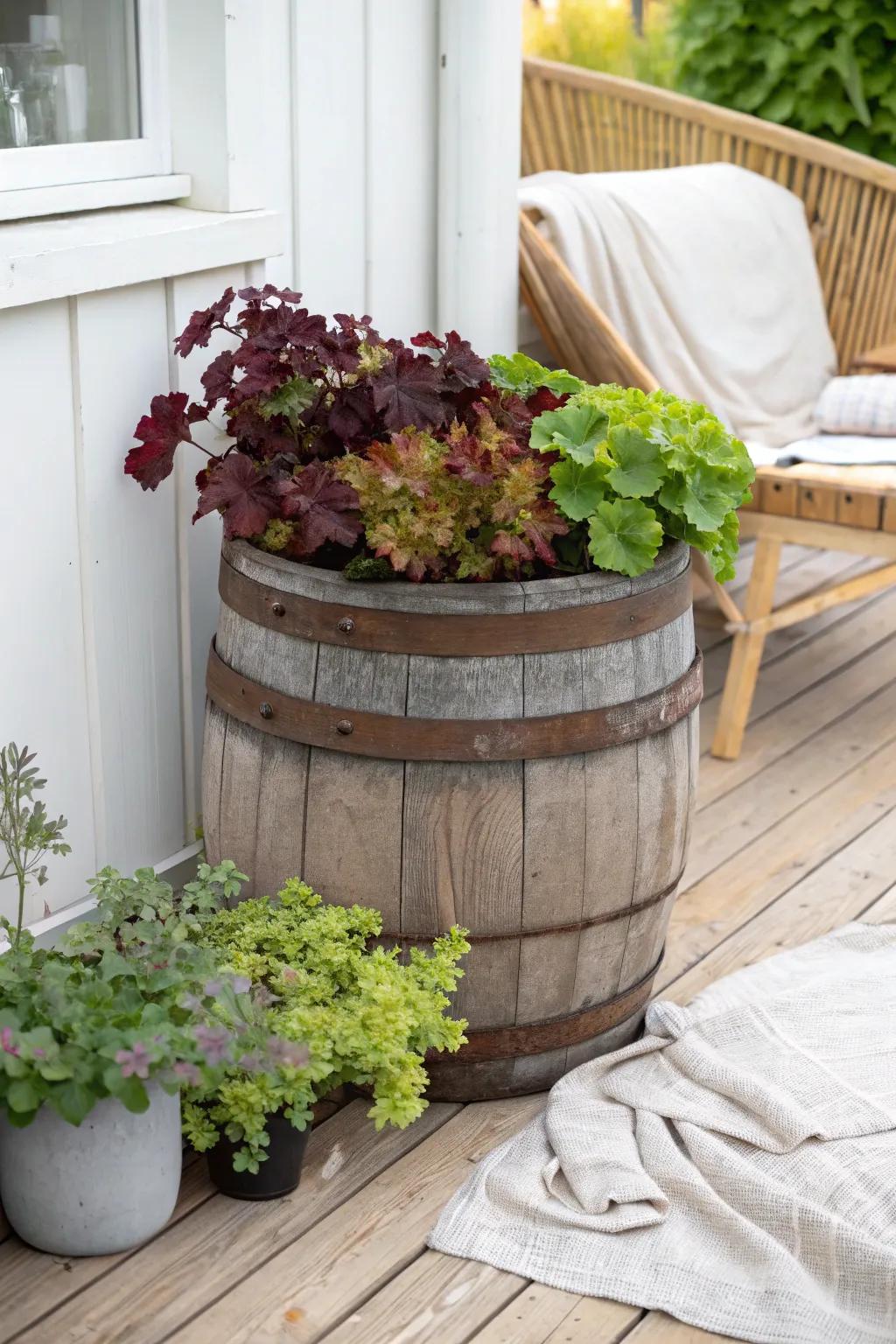 Turn rustic elegance into captivating garden allure with Heuchera housed in a vintage wine cask planter.