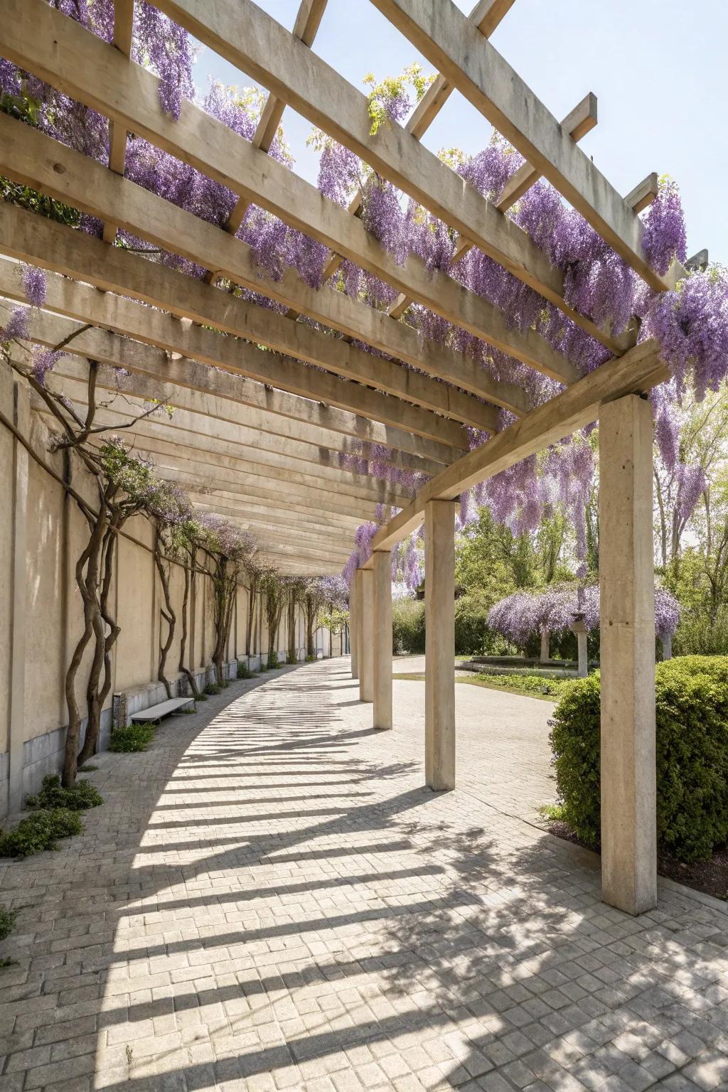 Appreciate simplicity and organic elegance with a vine-covered arbor, your dreamy outdoor escape.