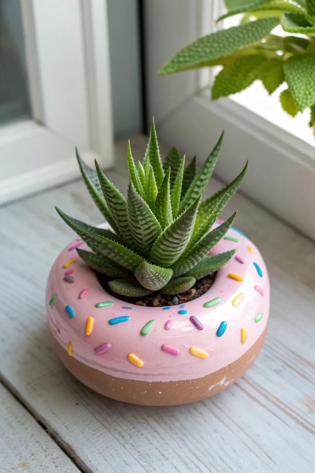 Introduce a sweet touch to your greenery with these charming pastry plant pots! 🍩🌿 #DonutPlanters #BohoChic #ScandiStyle