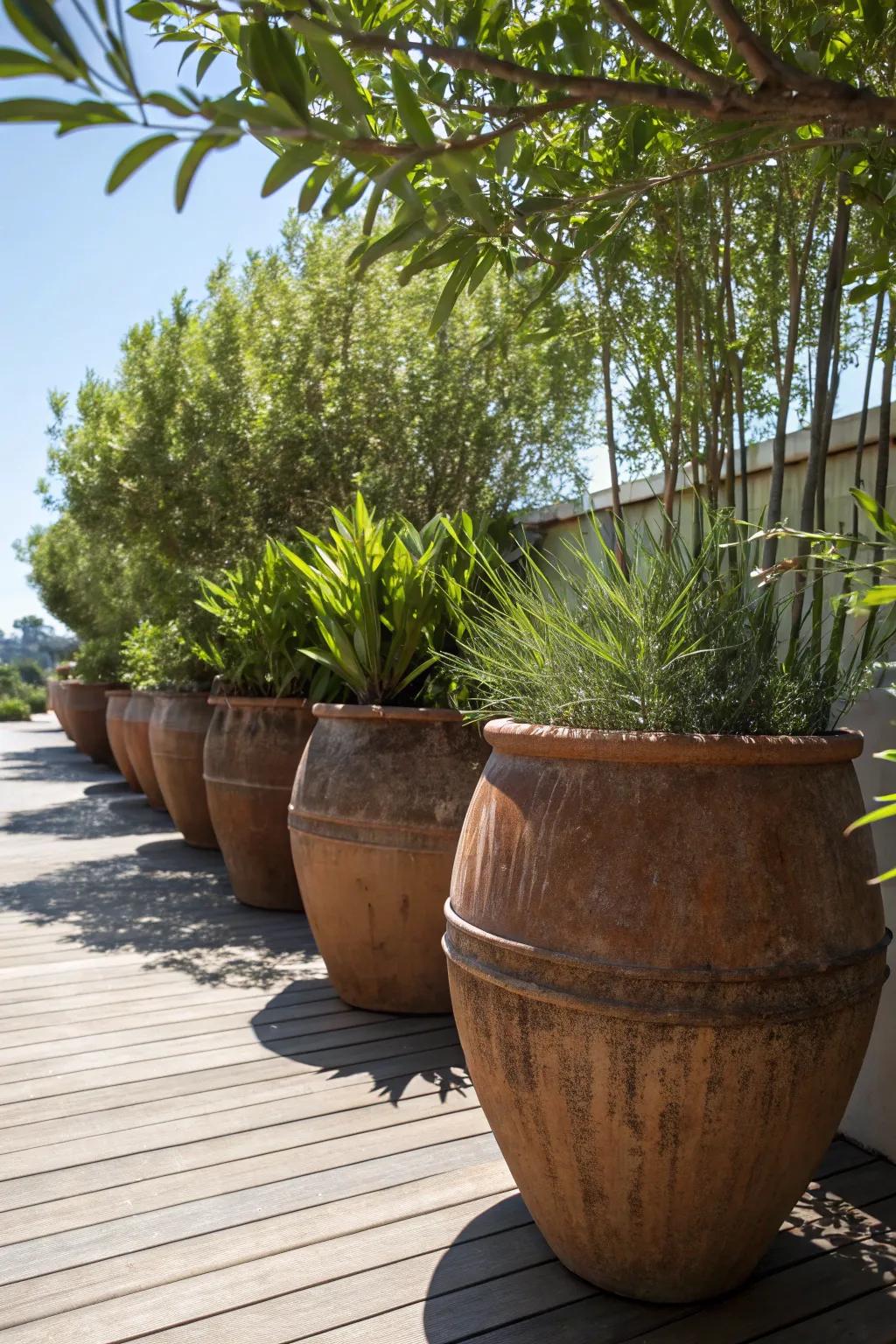 Transform your setting through an enthralling potted flora seclusion partition—perfect for streamlined and adaptable living.