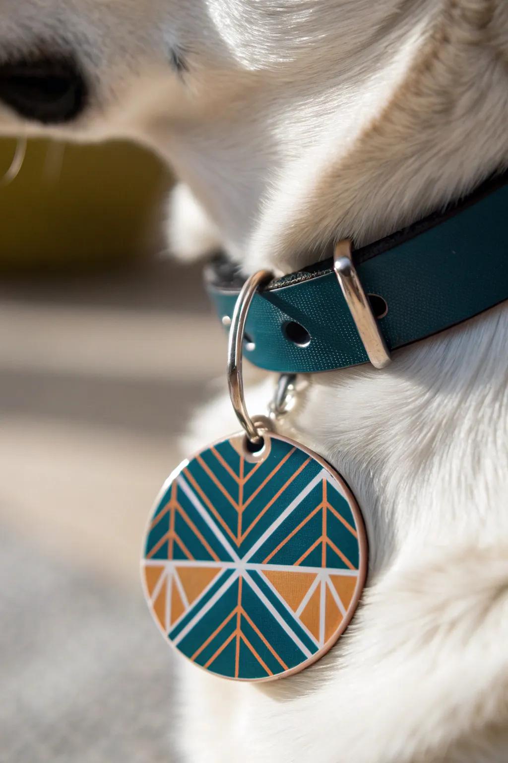 Incorporate a burst of personality into your pet's collar with these quirky, handcrafted badges.