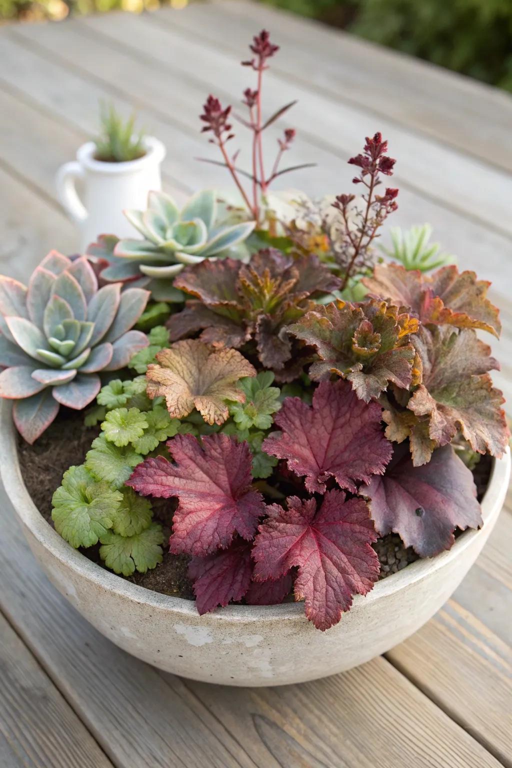 Enhance your space with a captivating heuchera and succulent dish garden, melding simplicity with artistic expression.