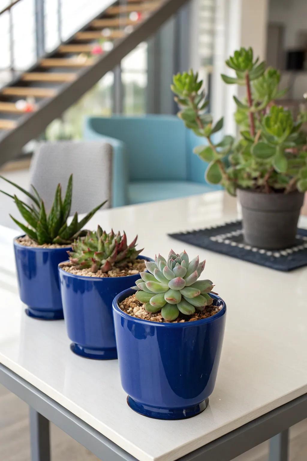 Fleshy plants in azure pots introduce a modern and trendy vibe to the centerpiece.