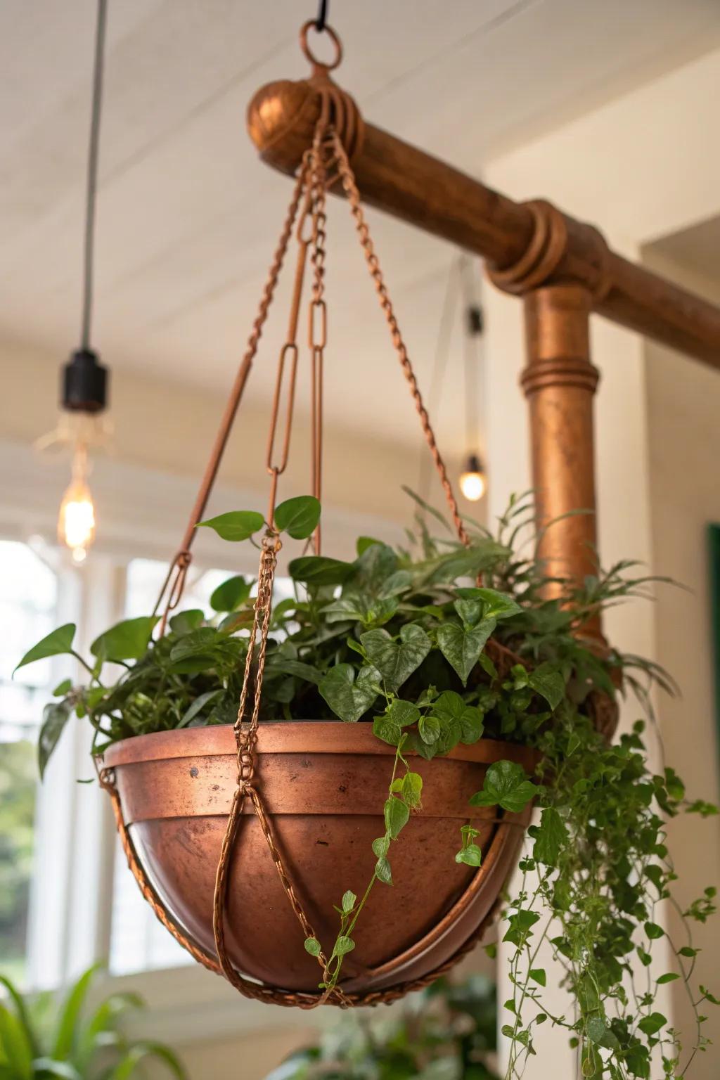 Enhance your garden with the beauty of a copper pipe suspended garden.
