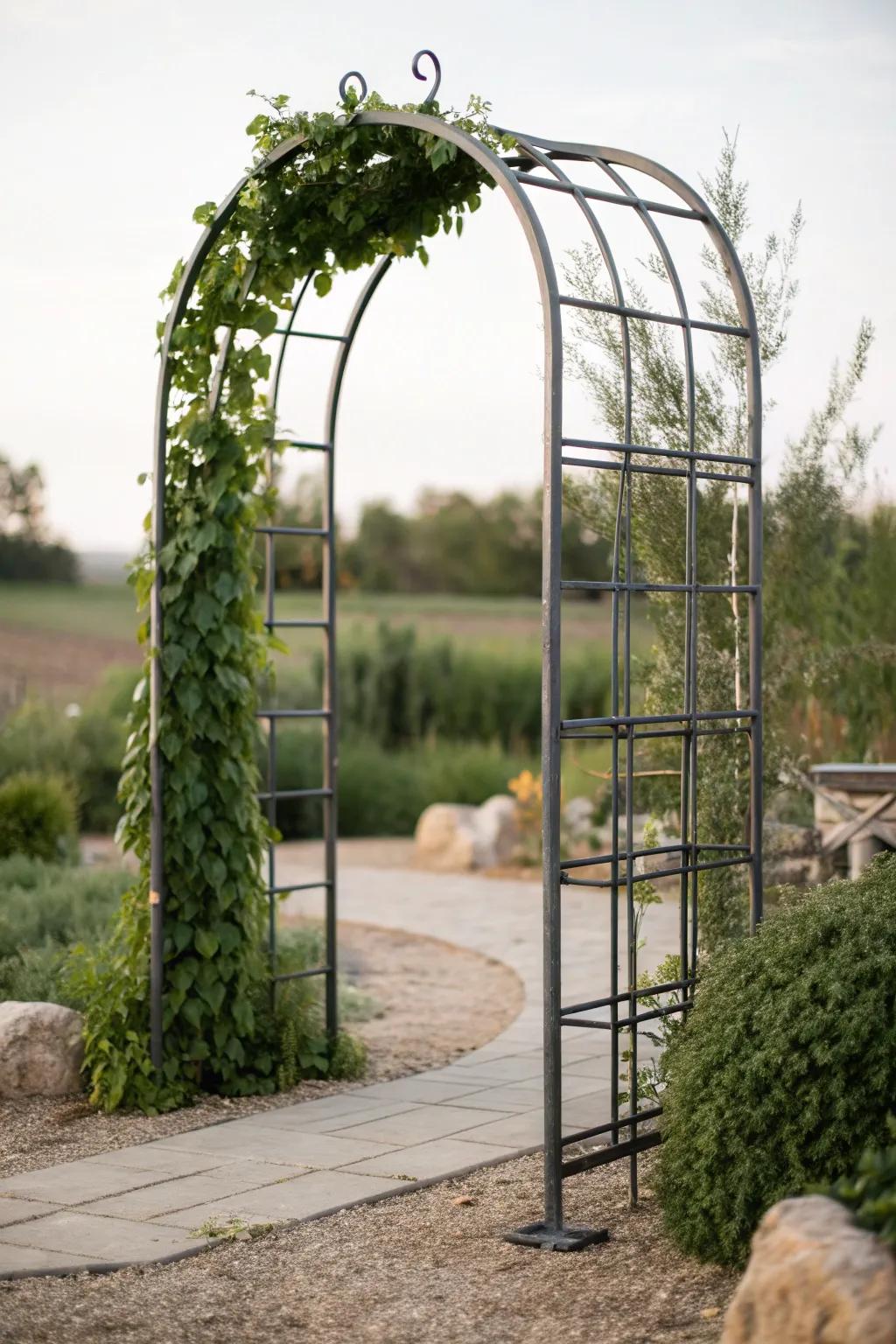 Enhance your garden with a hint of contemporary sophistication: a metal grid archway that is both durable and stylish.