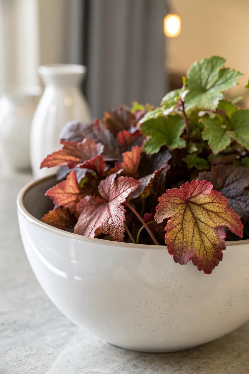 Enhance your space with the timeless sophistication of polished ceramics, set against the lively heuchera leaves.