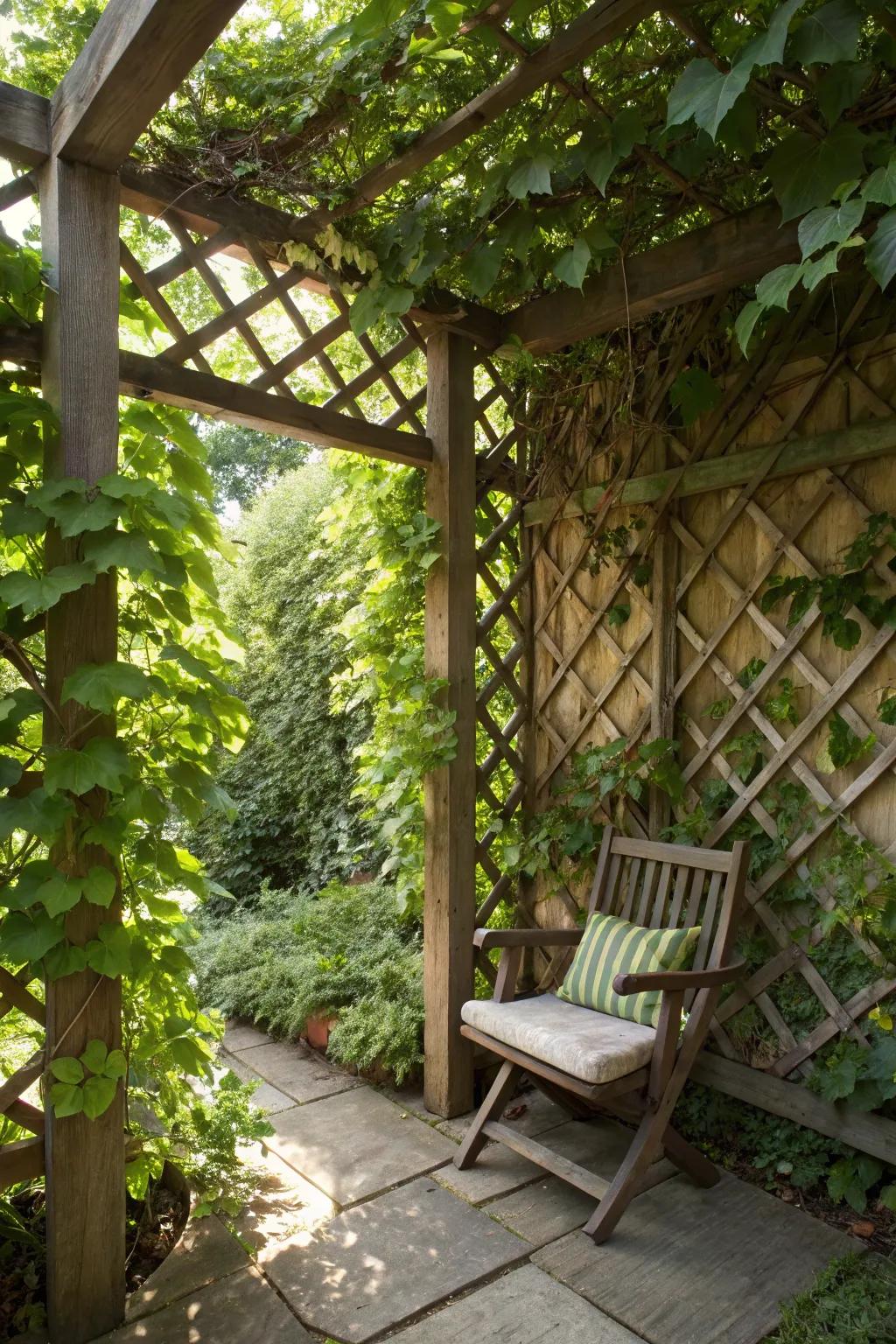 Unearth your own concealed oasis with a serene garden recess, impeccable for repose and introspection.