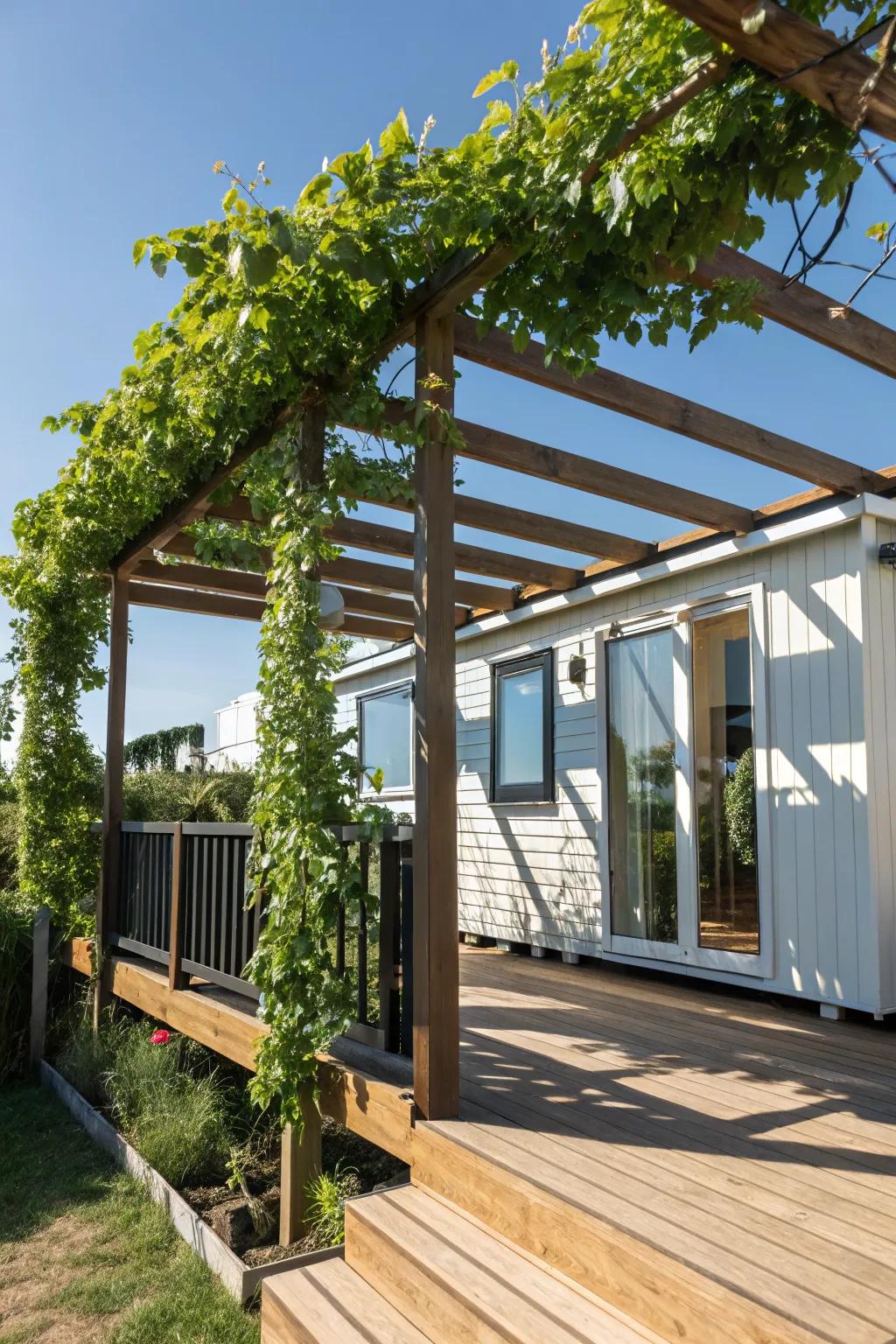 Transform your mobile home deck into a shaded escape with a sleek pergola and vibrant climbing plants.