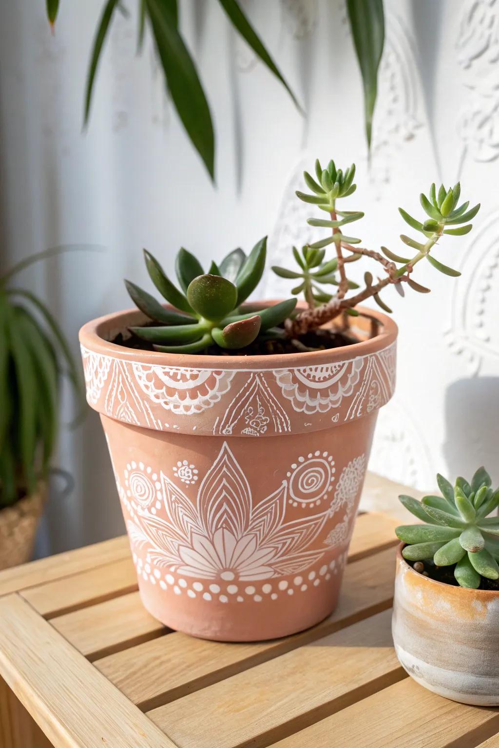 Revolutionize your ambiance through handcrafted elegance: paint your bespoke terra cotta vessel and enliven your treasured succulents!