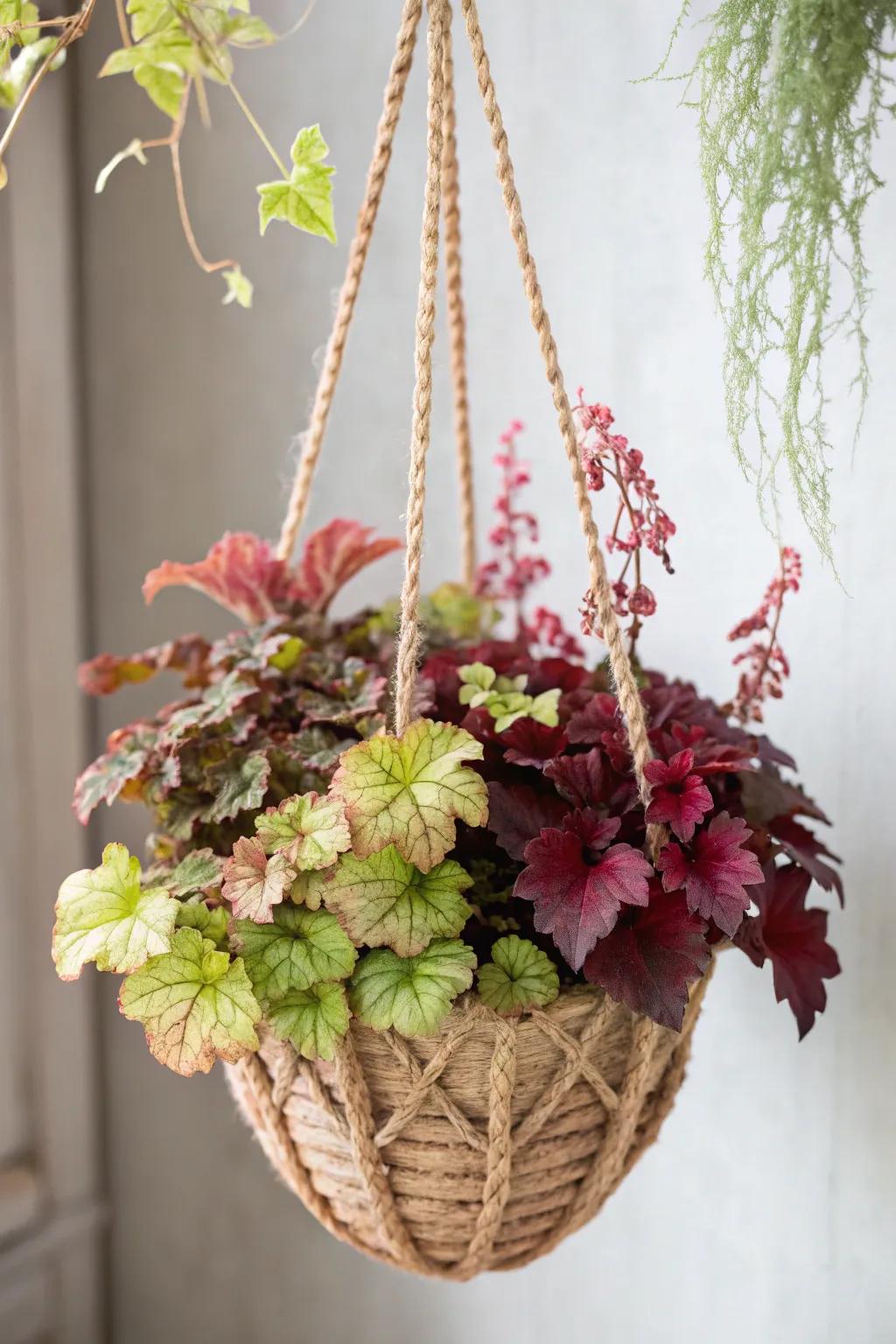 Elevate your garden with a hint of Scandinavian allure: cascading heucheras displayed in a handcrafted hanging vessel.