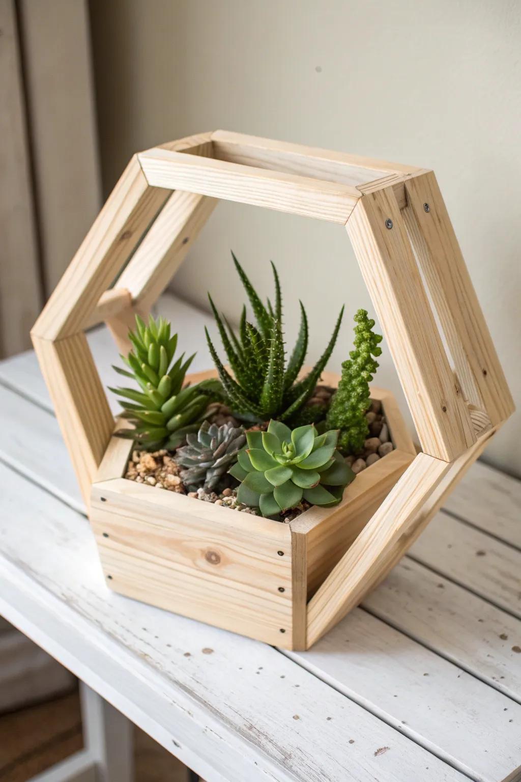 Elevate your space with a geometric container that harmonizes minimalist design with natural beauty.