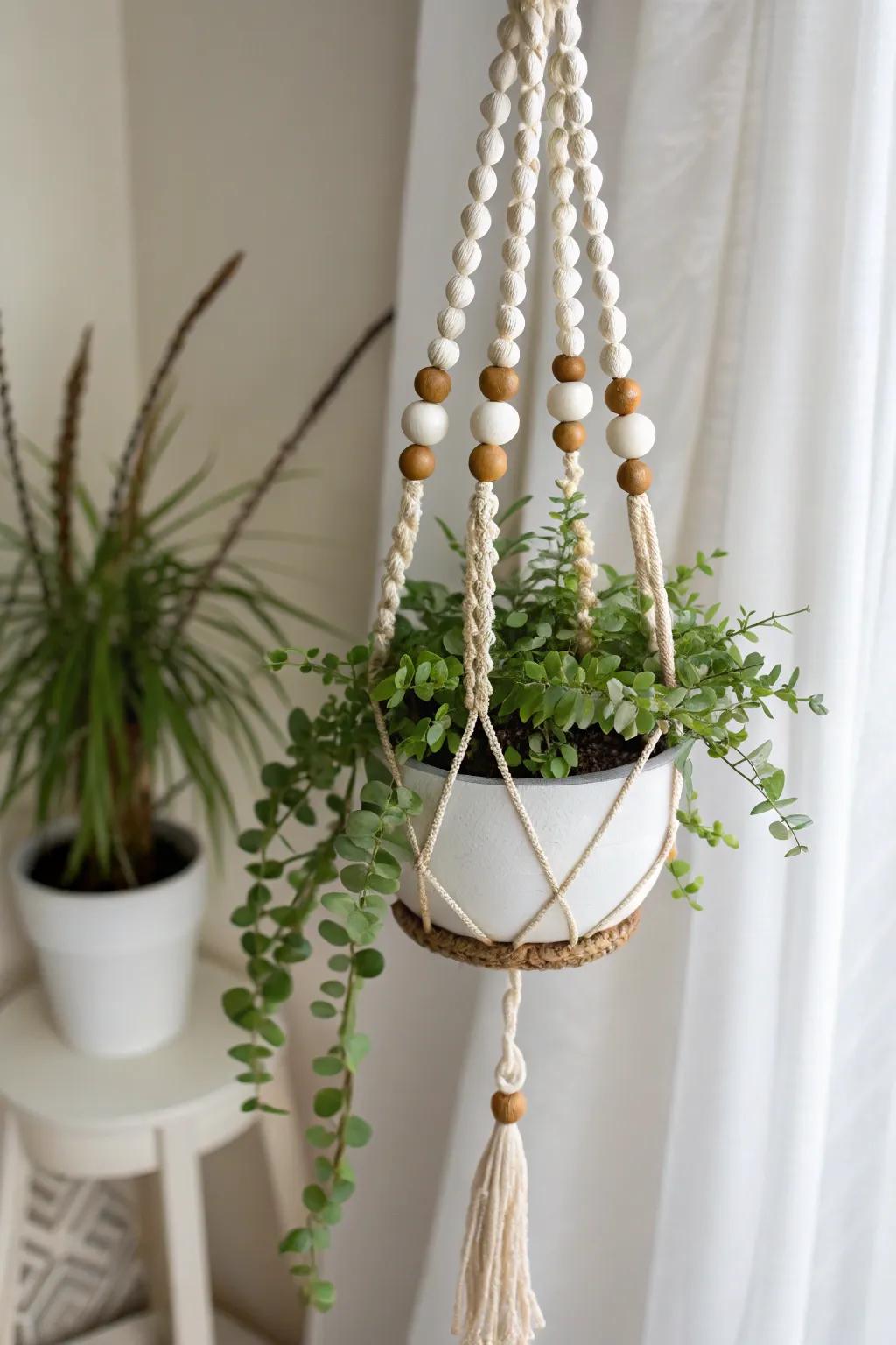 Elevate Mom's plant compilation with this graceful decorated plant suspension, a flawless fusion of effortlessness and natural elegance.