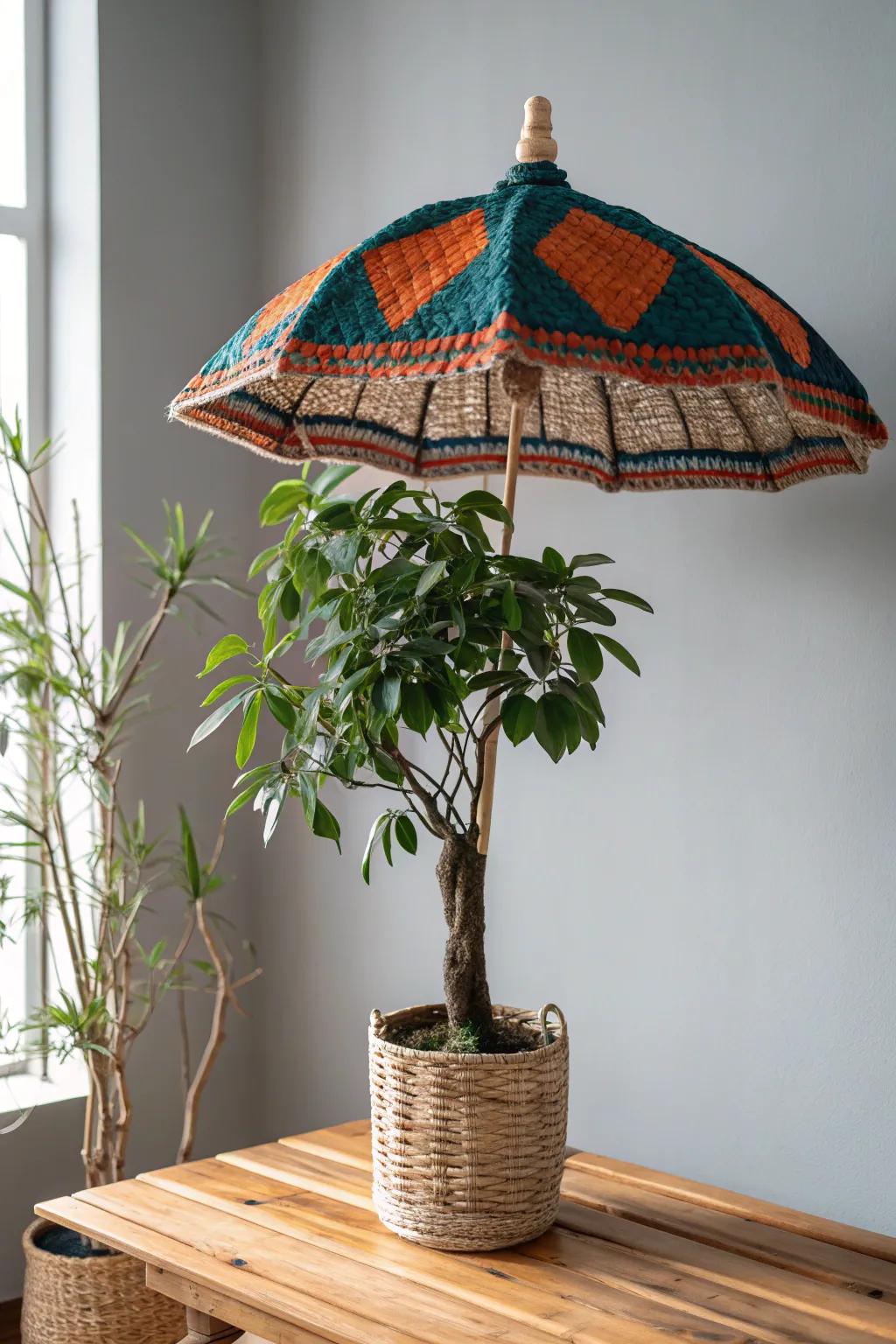 Transform your indoor plants with these charming umbrella pot covers, blending simplicity and boldness.