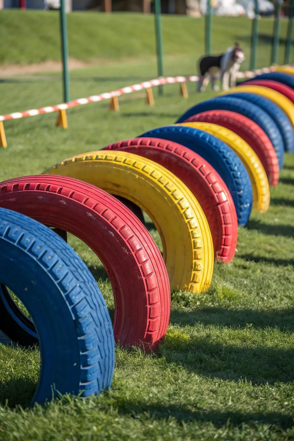 Transform old rubbers into a vibrant DIY agility track for endless doggy amusement!